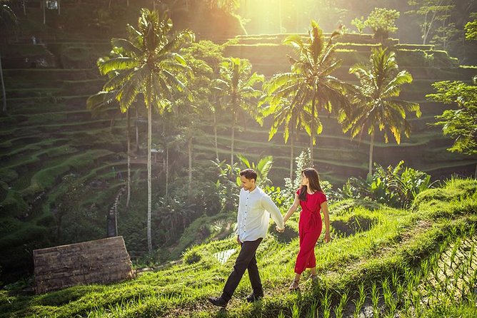 Day Trip: Ubud Monkey Forest, Rice Terrace, Temple and Waterfall - What the $37 price really covers