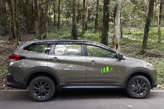 Departure Transfer from Ubud, Canggu, Uluwatu to Bali Airport - What the one-way ride includes