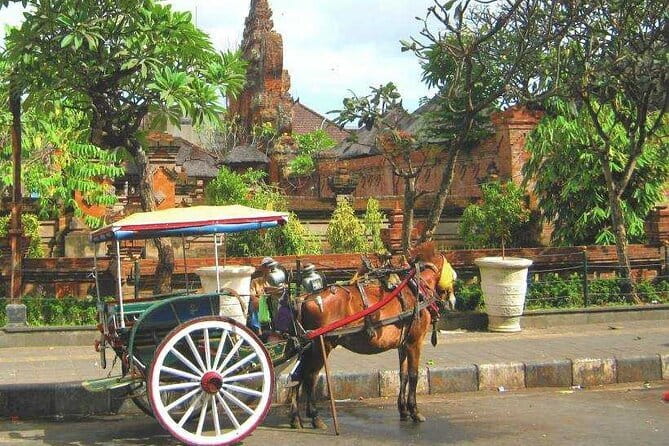 Discover Bali : Shore Excursion from Benoa Port with Free Wi-Fi - Key points to know before you book