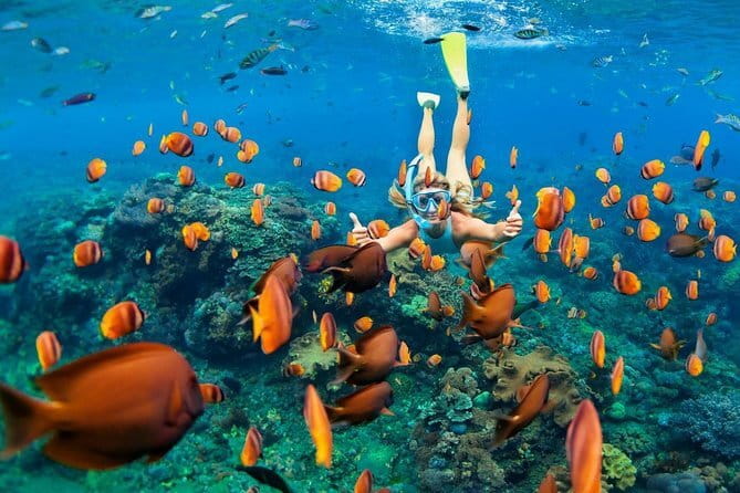 Discover Bali : Shore Excursion from Benoa Port with Free Wi-Fi - Ubud: two hours for markets, palace sights, and local atmosphere