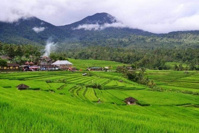 Discover Bali : Shore Excursion from Benoa Port with Free Wi-Fi - The private guide makes the flexible plan useful