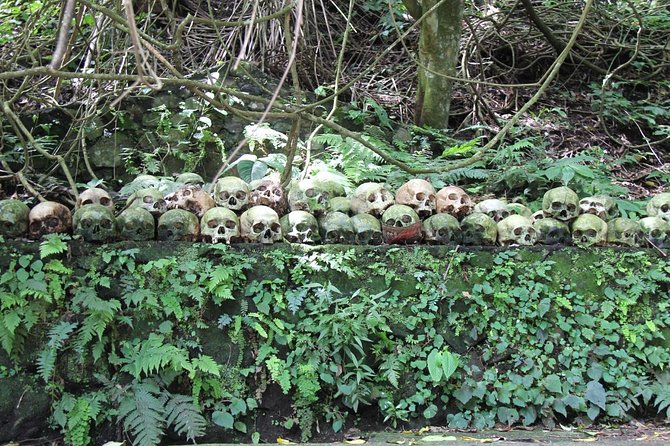 Discover Balinese Mystic & Death Ritual in Bali - Penglipuran Bamboo Forest and village design