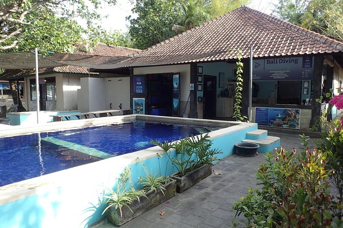 Discover Scuba Diving and dive in Menjangan Island Marine Park 2 dives - The morning begins with theory and a pool session