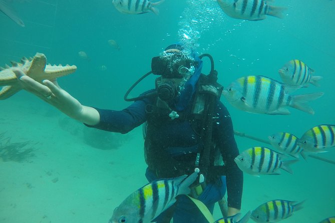 Discover Scuba Diving ( beginners) Combined With Jet Ski - Why this Nusa Dua package works for first-timers