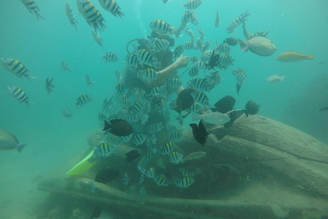 Discover Scuba Diving ( beginners) Combined With Jet Ski - Hotel pickup makes the morning easier