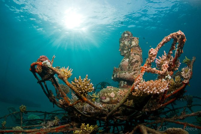 Discover Scuba Diving in Pemuteran at the Biorock site,1 shore dive all included - Your 8:30 AM Start at Bali Diving Academy