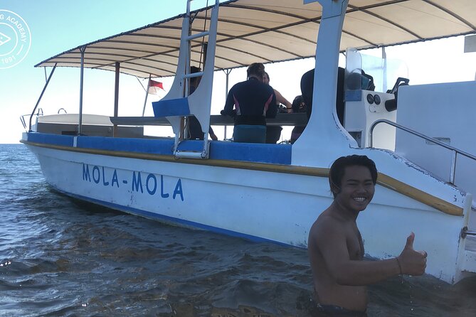 Discover Scuba Diving in Pemuteran at the Biorock site,1 shore dive all included - What the Biorock Conservation Project Adds