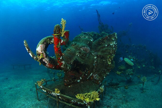 Discover Scuba Diving in Pemuteran at the Biorock site,1 shore dive all included - What the $75 Price Covers