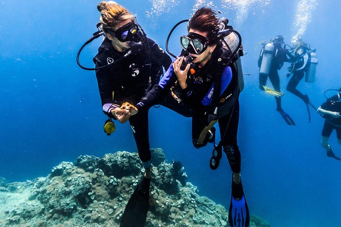 Discover Scuba Diving in Tulamben - Diving Initiation in Bali best diving sites - The opening briefing and shallow-water practice