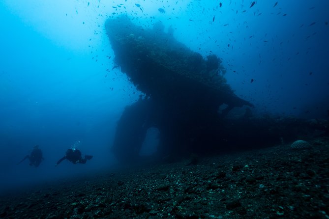 Discover Scuba Diving in Tulamben - Diving Initiation in Bali best diving sites - Coral Garden: the first taste of open water