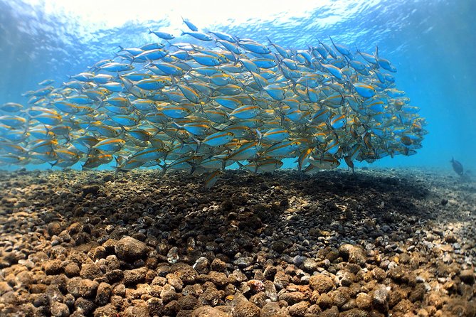 Discover Scuba Diving Tulamben Bali For Non-Certified Divers - Why Tulamben works so well for a first scuba experience