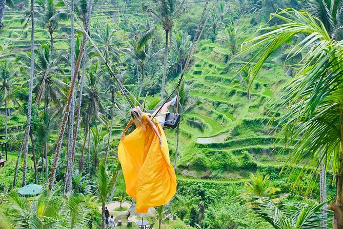Discover The Best of Ubud: All-Inclusive and Private Guided Tour - Why a private Ubud day makes sense