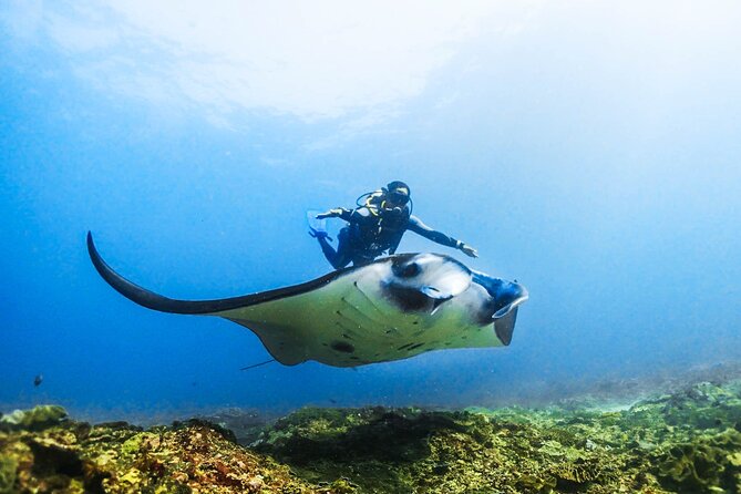 Diving in Nusa Penida - First ocean location: the manta ray area
