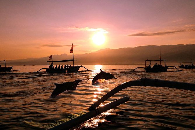 Dolphin Tour and Sunrise Watching in Lovina Beach - All Inclusive - Key points to know before booking