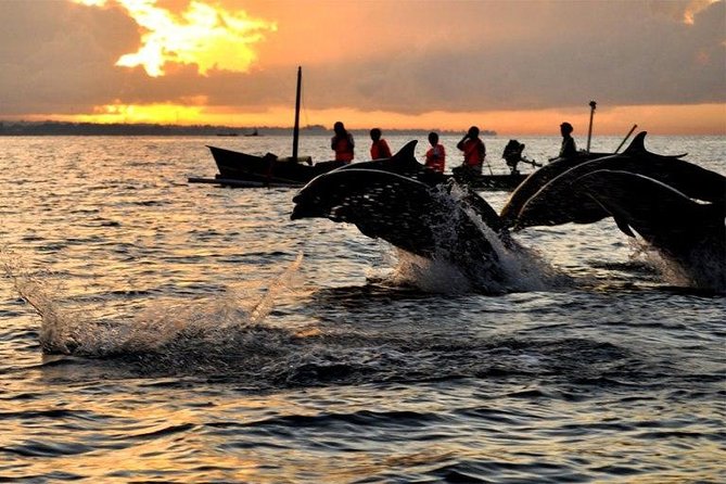 Dolphin Tour and Sunrise Watching in Lovina Beach - All Inclusive - Why the 3 a.m. departure can be worth it