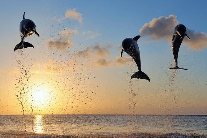 Dolphin Tour and Sunrise Watching in Lovina Beach - All Inclusive - Wanagiri swing and the view over Lake Buyan
