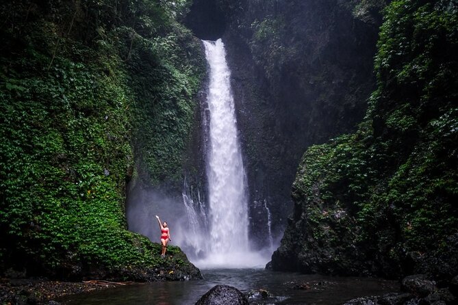 Dolphin Tour and Sunrise Watching in Lovina Beach - All Inclusive - Optional waterfalls and temple stops