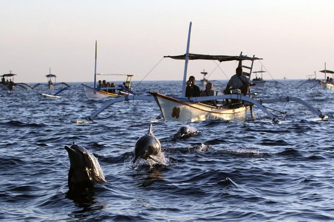 Dolphin Tour and Sunrise Watching in Lovina Beach - All Inclusive - Breakfast at Coffee Nosky after the boat ride
