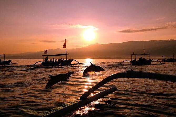 Dolphin Watching Tour, Swimming with Dolphins and Snorkeling - The early pickup from Ubud