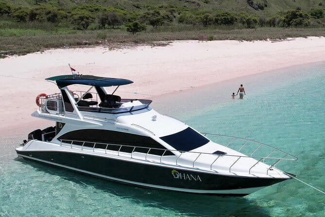 Early Morning Private Komodo Speedboat Tour - Manta Point: The Day’s Most Uncertain Reward
