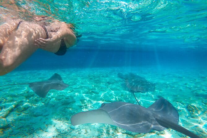 Early Morning Private Komodo Speedboat Tour - What The $420 Price Really Buys