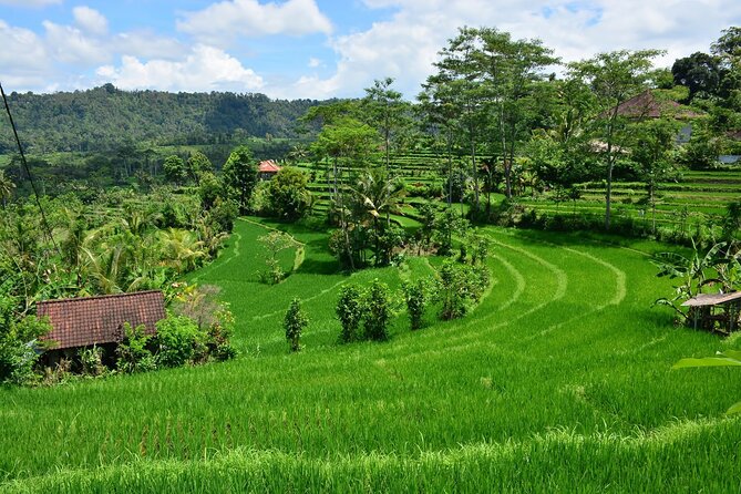 East Bali Tour: Gate of Heaven, Water Palace, Sleeping Gajah - The long day has real tradeoffs