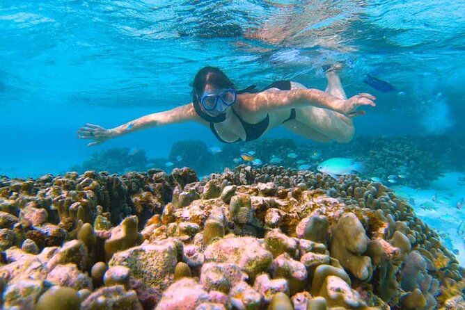 East Lombok Secred Gilis (Gili Kondo, Gili Bidara, Gili Petagan, Gili kapal) - Is $94.94 good value?