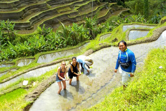 Electric Cycling Tour of Ubud with Free Hotel Transfer and Lunch - Tegalalang Rice Terrace: the photo stop