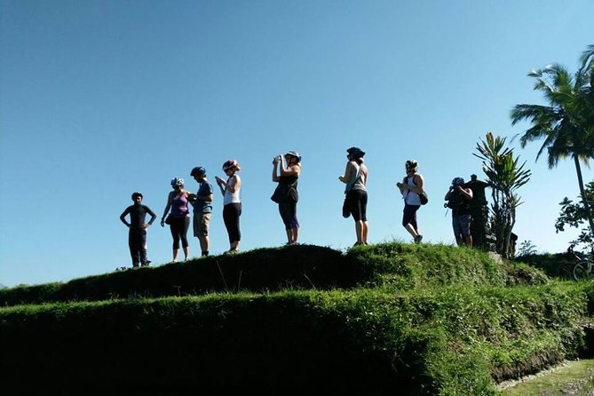 Electric Cycling Tour of Ubud with Free Hotel Transfer and Lunch - What the $41 price really covers