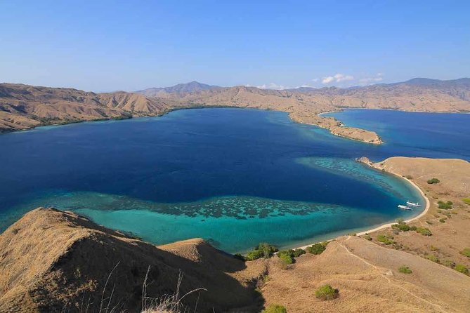 Exclusive Early Bird Komodo Tour: Beat the Crowds by Speed Boat - Padar Island and the climb to the classic view