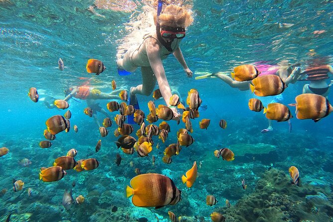 Explore 4 iconic snorkeling spots of Manta Bay in Nusa Penida - Four things to know before booking
