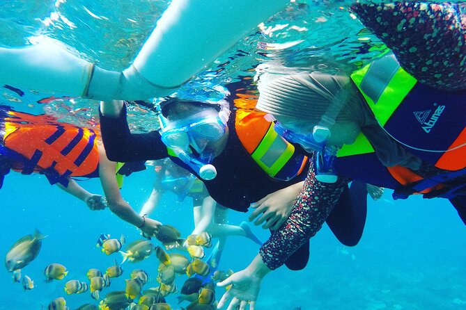 Explore 4 iconic snorkeling spots of Manta Bay in Nusa Penida - What the $27 price really buys you