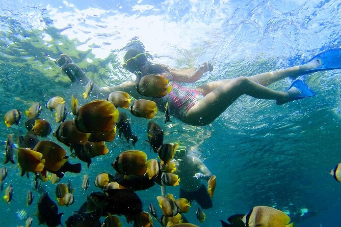 Explore 4 iconic snorkeling spots of Manta Bay in Nusa Penida - Coral reefs, turtles, and the third stop