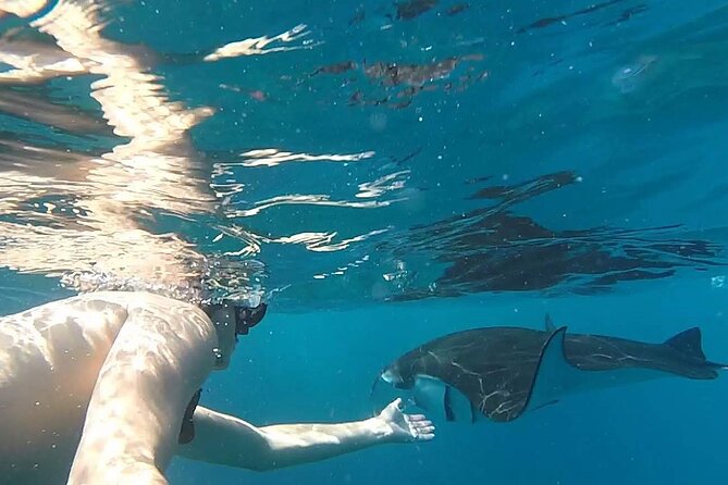 Explore 4 iconic snorkeling spots of Manta Bay in Nusa Penida - GoPro photos, equipment, and what comes included