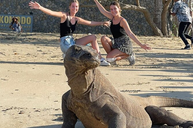 Explore Komodo and Swim with Whale Sharks - The trip in a few useful points