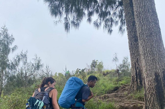 Explore Mount Rinjani To Summit, Lake & Hot Spring (3D 2N) - What the $180 price includes, and what it does not