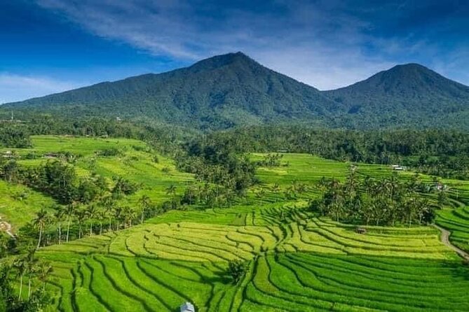 Explore Munduk Customized 8 Hour Day Tour in North Bali - Choose between waterfalls and mountain lakes