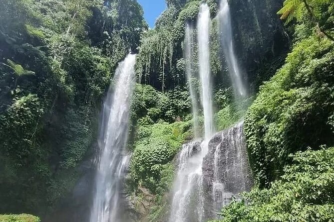 Explore Munduk Customized 8 Hour Day Tour in North Bali - What the guide and vehicle add