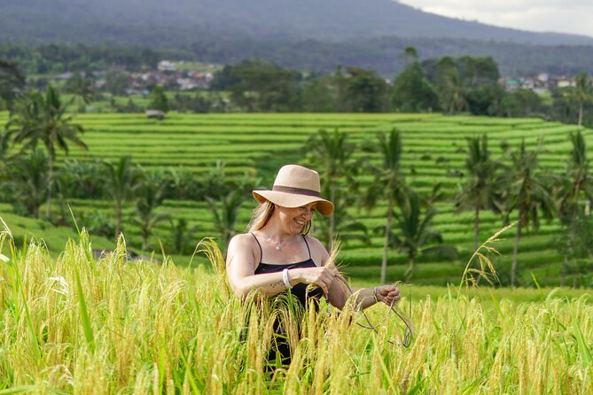 Exquisite UNESCO World Heritage Sites in Bali - Jatiluwih’s rice terraces and open views