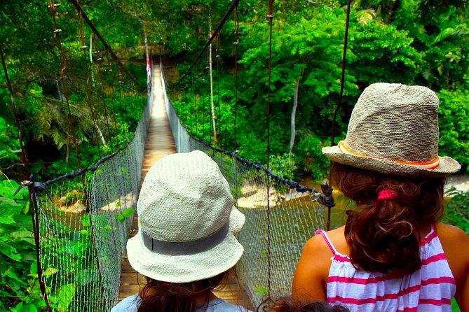 FAMILY JUNGLE TOUR: Orangutan Trek (4-hours hike) by EcoTravel Bukit Lawang - What this Bukit Lawang trek is really offering