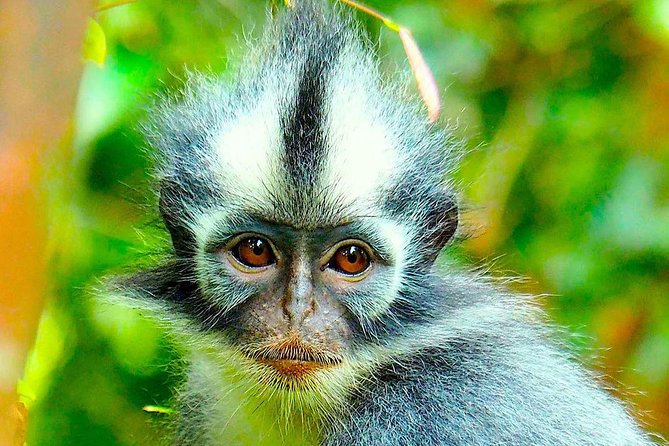 FAMILY JUNGLE TOUR: Orangutan Trek (4-hours hike) by EcoTravel Bukit Lawang - Meeting the guide team in Bukit Lawang