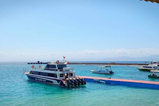 Fast Boat Transfer: Sanur to Nusa Penida by Penidago - Delays, weather, and schedule changes