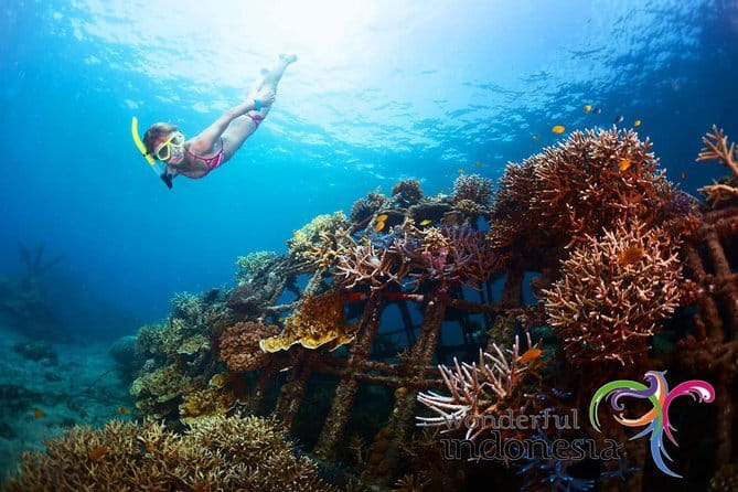 Fly Board Experience in Bali - The real challenge: learning to balance