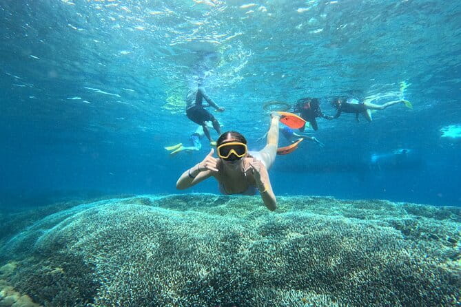 From Bali: Nusa Penida Full Day Tour and Snorkeling - Why this Nusa Penida day trip works