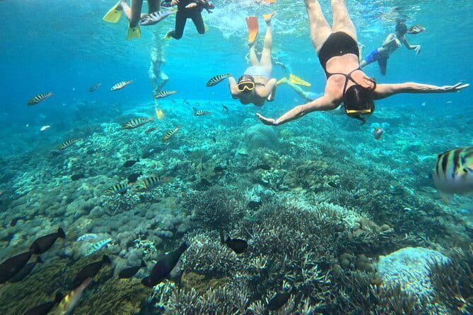 From Bali: Nusa Penida Full Day Tour and Snorkeling - Gamat Bay brings coral and calmer water