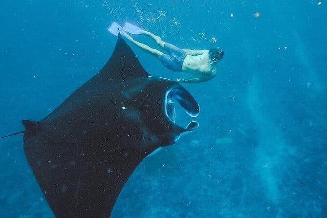 From Bali: Nusa Penida Snorkeling and Island Tour - Key Things to Know Before You Go