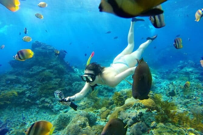 From Bali: Nusa Penida Snorkeling and Island Tour - Why This Nusa Penida Day Trip Works