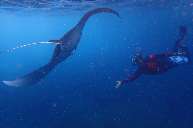From Lembongan: Snorkeling Day Trip to Nusa Lembongan & nusa Penida island - Starting from Jungut Batu Beach