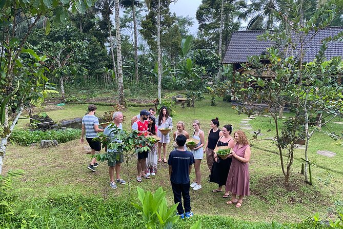 From Ubud: Authentic Bali Farm Cooking School & Organic Farm - Key things to know before booking
