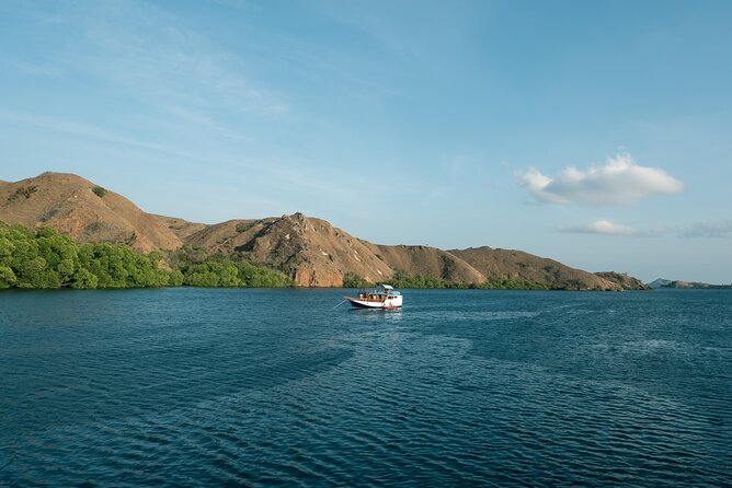 Full-Day Adventure Tour to komodo Island with join Speed Boat tur - Pink Beach: shallow snorkeling and a useful rest
